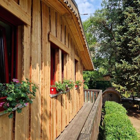 Chalet De La Foret 1 A 6 Pers Saint-Sauveur  Экстерьер фото