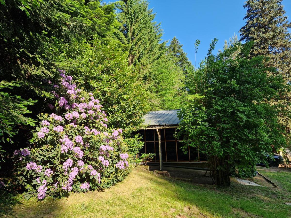 Chalet De La Foret 1 A 6 Pers Saint-Sauveur  Экстерьер фото